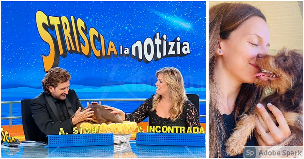 Un altro cucciolo dell’oasi di Chiara Calasanzio di Santa Margherita Belice da stasera a Striscia la Notizia