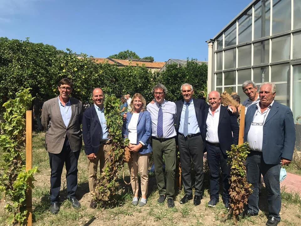 La Vigna del Gallo dell'Orto Botanico di Palermo intitolata al compianto Diego Planeta