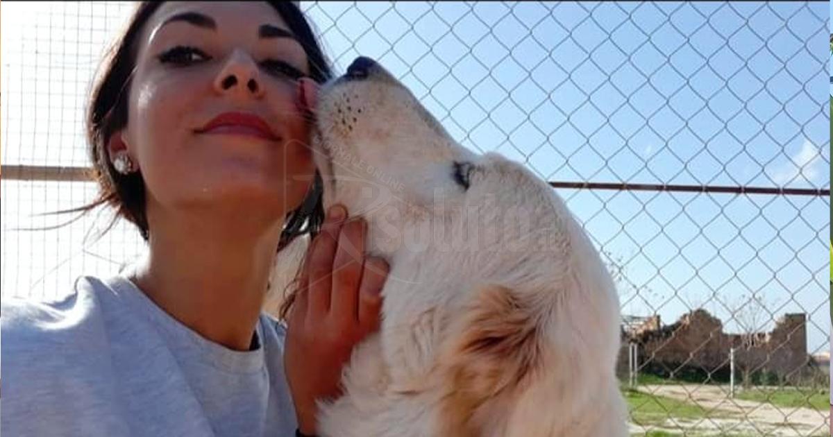 Menfi, 70 cuccioli  adottati in estate e l'associazione Phoenix rilancia: "Perchè non prendersi cura anche dei cani adulti?"