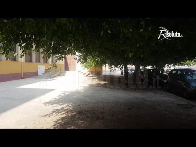 Alberi ancora da potare davanti la scuola di Sant’Agostino a Sciacca a pochi giorni dall’inizio delle lezioni (Video)