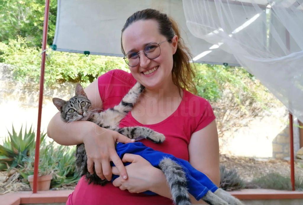 A Santa Margherita Belice un gatto con le zampe paralizzate indossa i pantaloncini in attesa del carrellino
