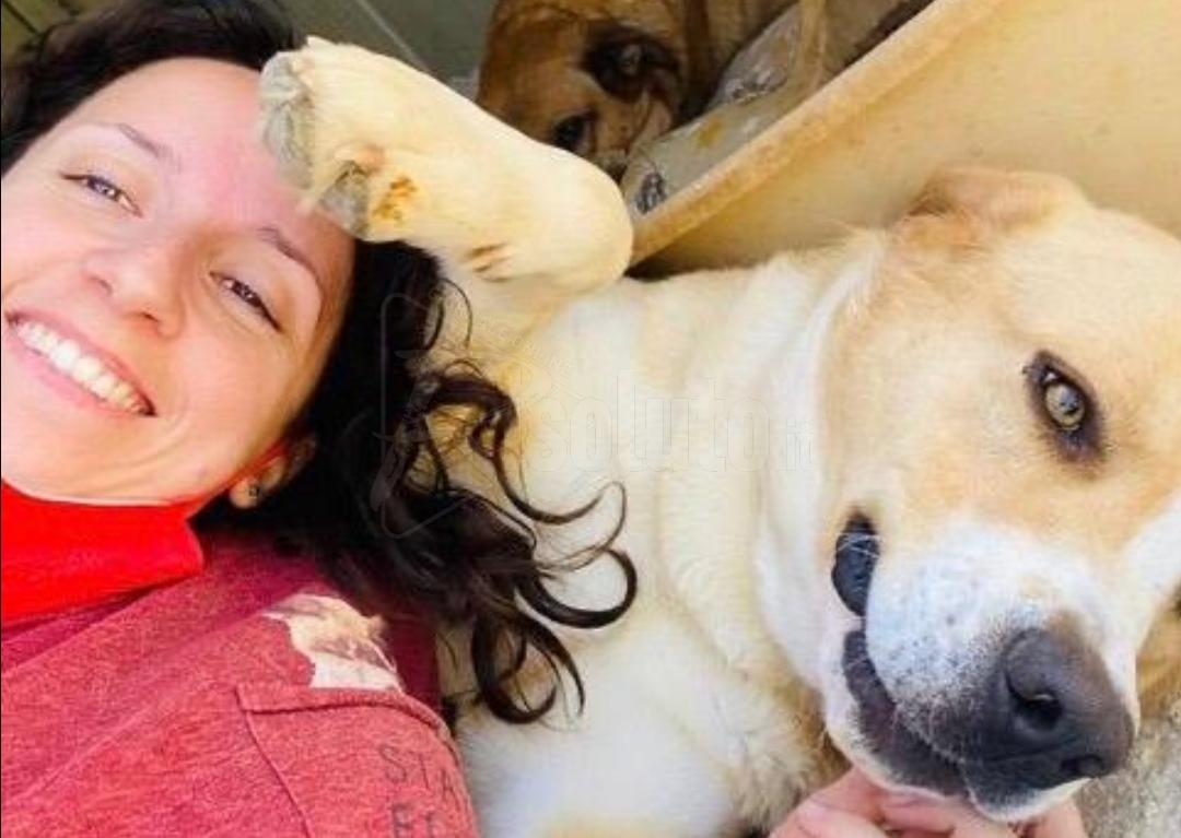 Santa Margherita di Belìce, il cane Ares dell'Oasi Ohana adottato dopo un incidente e il coma