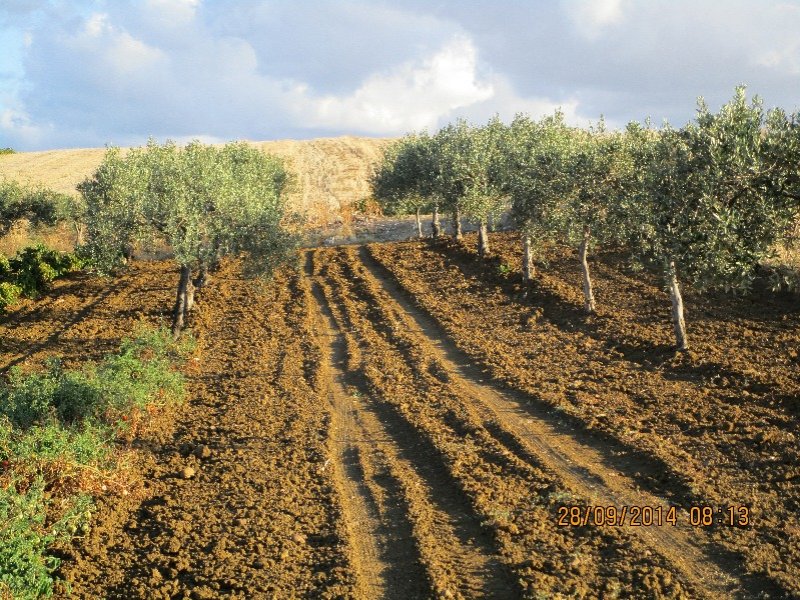Emergenza idrica per uso agricolo, vertice al comune di Ribera