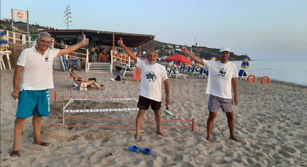 Nuovi nidi di Caretta caretta nell’Agrigentino, uno a Sciacca e tre a Porto Empedocle
