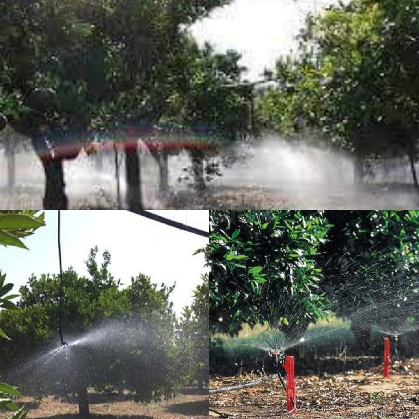Centomila metri cubi di acqua per l’irrigazione delle campagne, esulta il sindaco di Burgio
