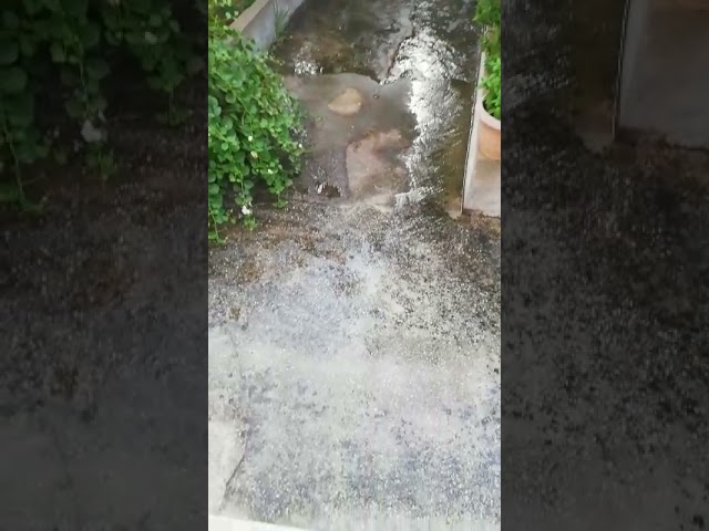 Lavori in corso in via Cappuccini dopo il cedimento e la chiusura, i residenti segnalavano da mesi le perdite nel tratto (Video)