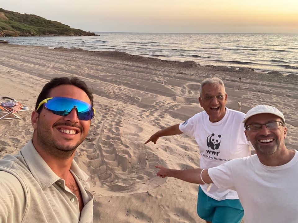 Appello del Wwf a Sciacca: “Massima attenzione per il passaggio delle tartarughe in spiaggia”