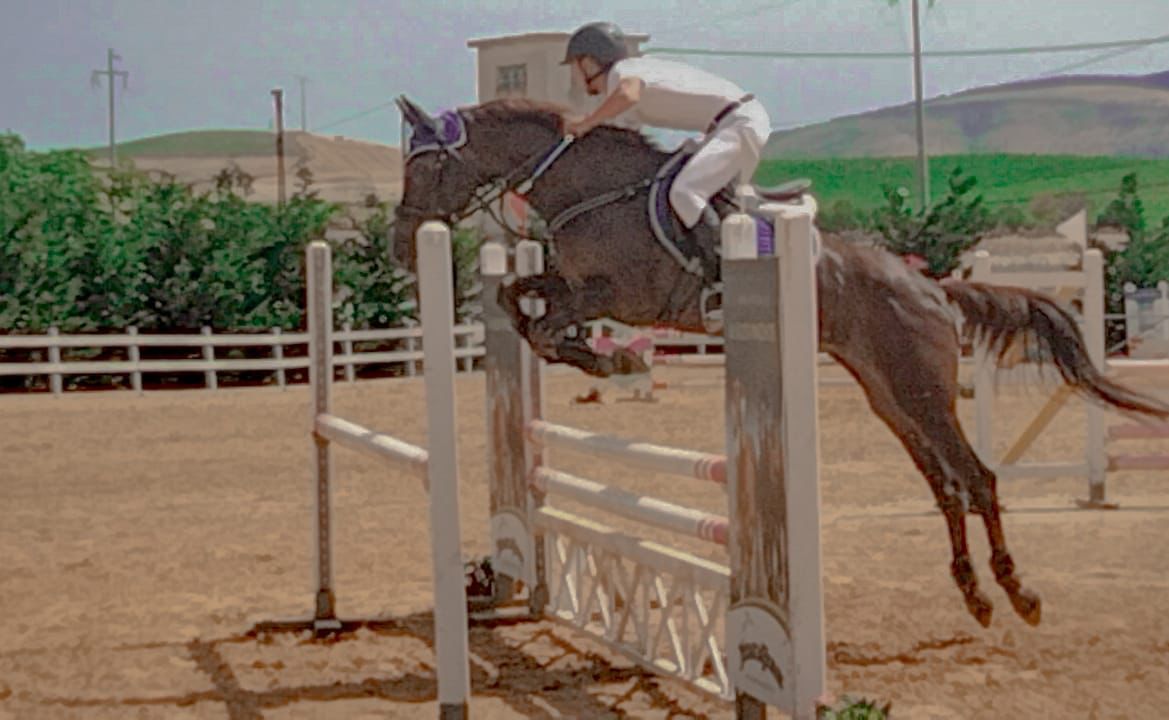 Equitazione, due medaglie per due allievi del Centro Ippica "La Criniera"