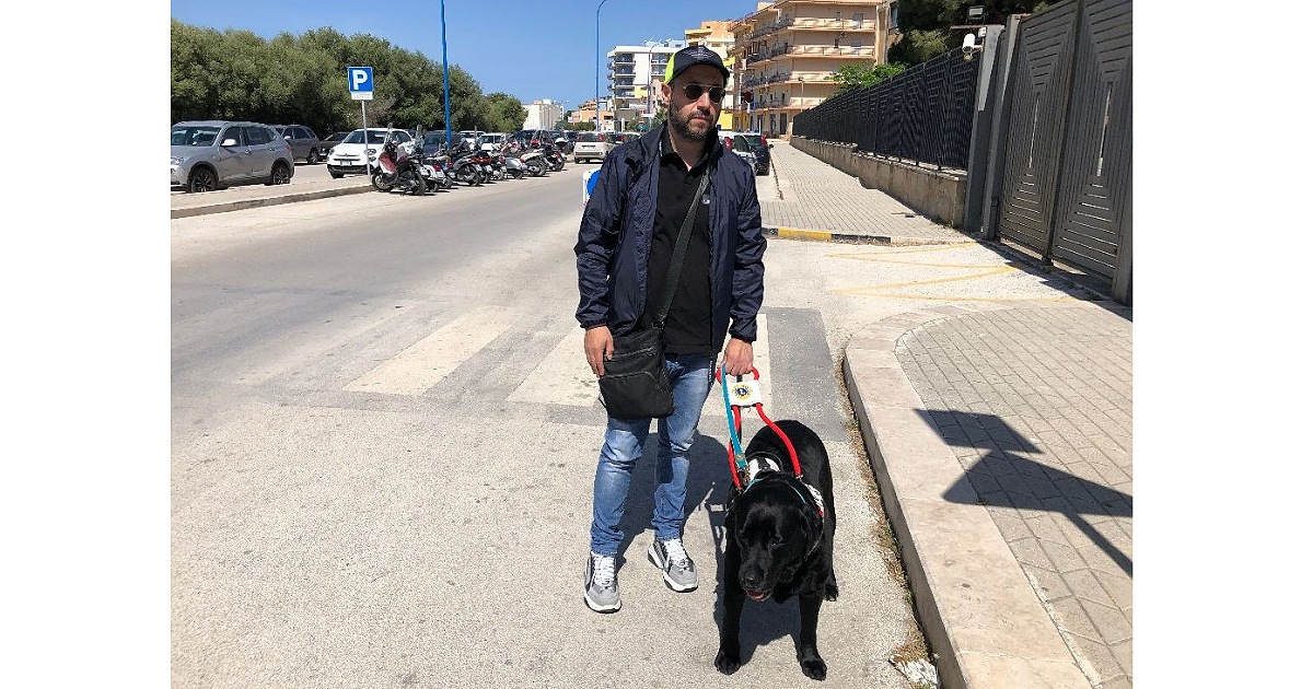 Aggredito alla Perriera da un randagio il cane guida del centralinista del Tribunale di Sciacca