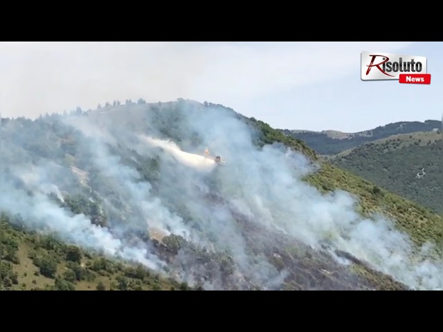 A fuoco 15 ettari di bosco tra Palazzo Adriano e Burgio, in azione un canadair (Video)
