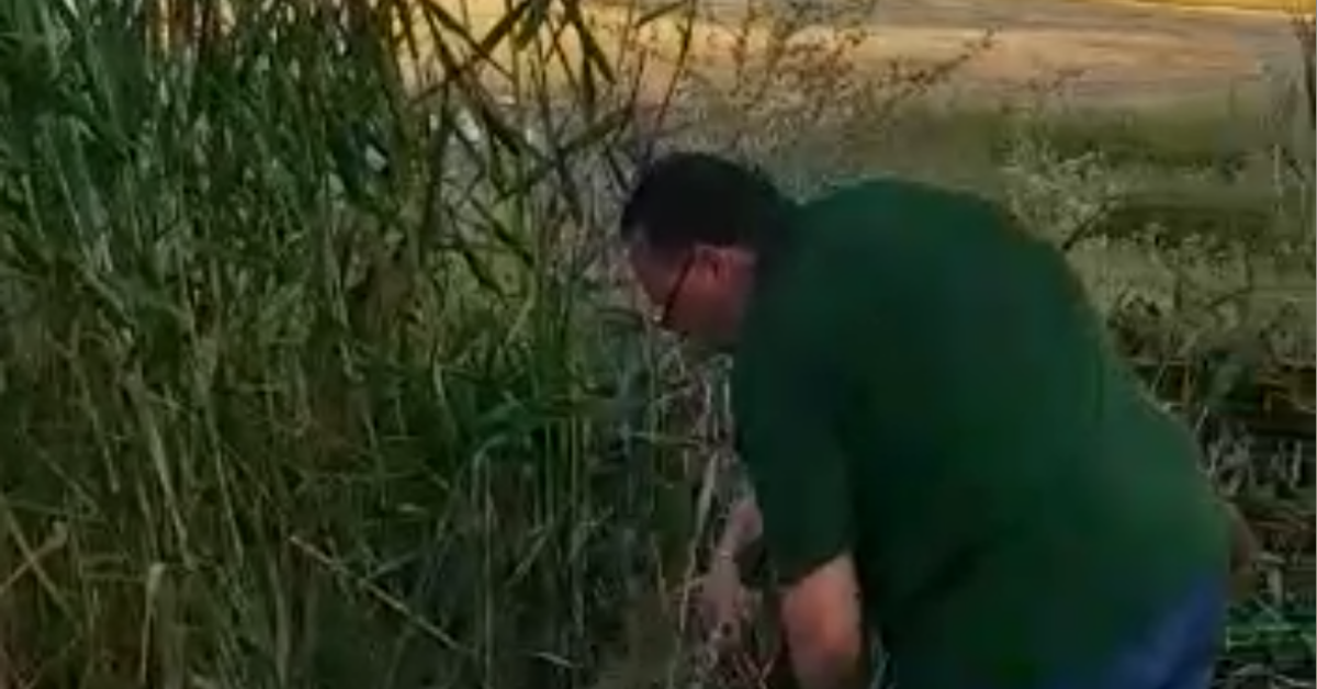 C'e' chi marcia e c'e' chi taglia, saccense esegue scerbatura in una strada (Video)