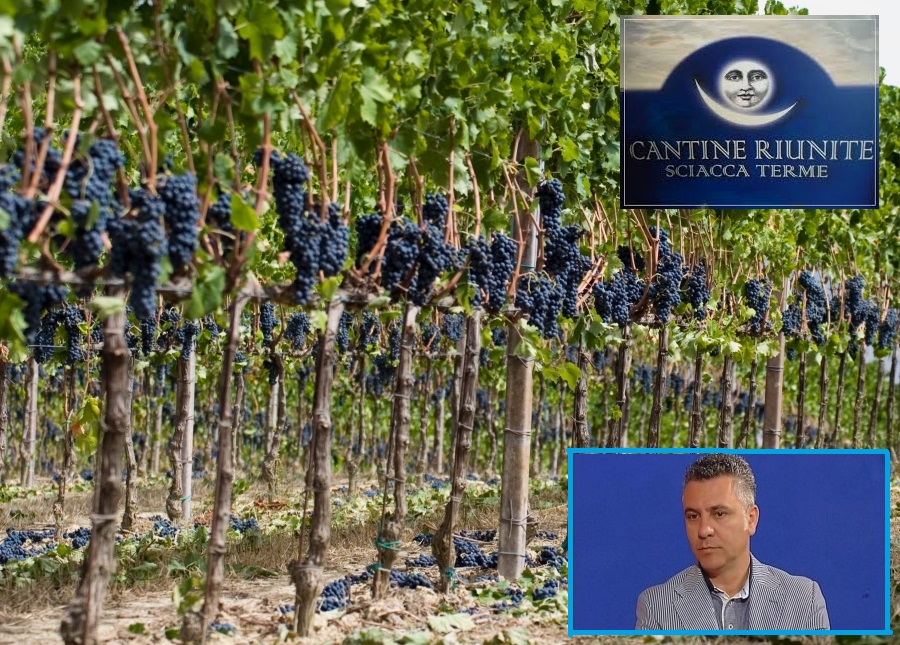 Mandracchia nuovo presidente delle Cantine Riunite Sciacca Terme, dove ora potrebbe sorgere anche un oleificio