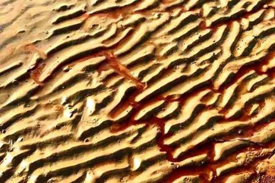 Scala dei Turchi: niente inquinamento, il presidente della Commissione Ambiente del Senato: "Molto rumore per nulla"