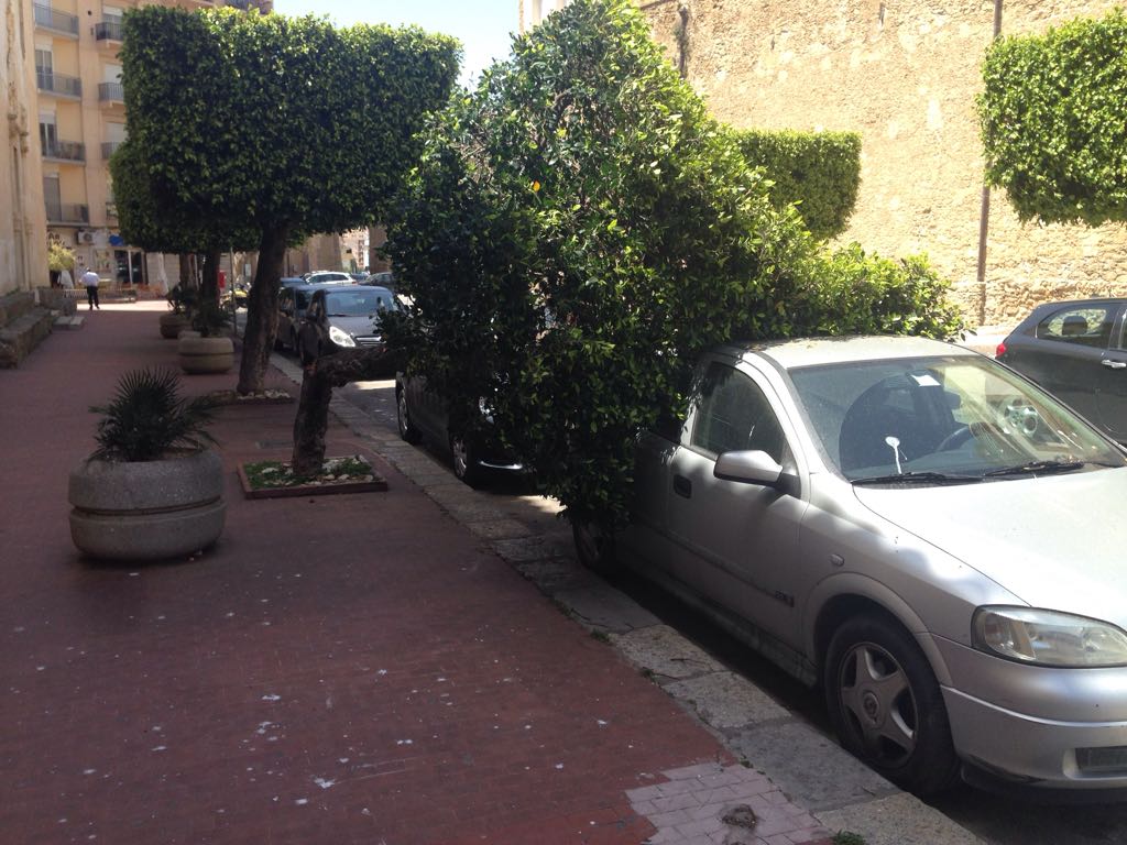 Il vento spezza albero in via Incisa che finisce su una vettura in sosta