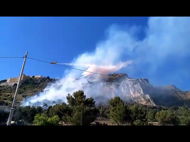 Primo maggio di fuoco a San Calogero: Canadair in azione