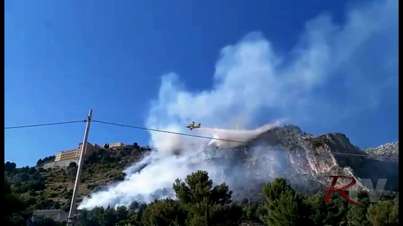 Bruciati sei ettari di bosco a San Calogero e non si esclude la natura dolosa dell'incendio