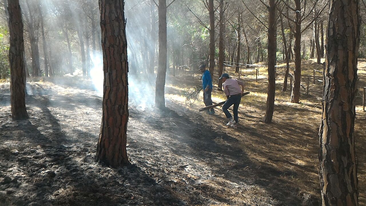 Un barbecue causa dell'incendio del primo maggio a Sciacca e ieri ha rischiato di bruciare il bosco di Bovo Marina