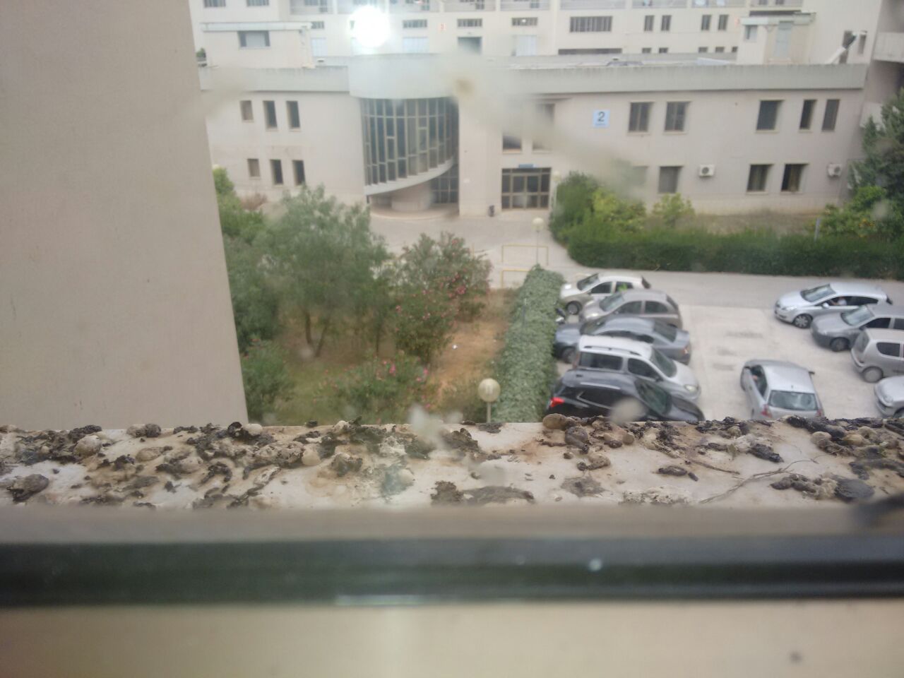 Tappeti di escrementi sui davanzali delle finestre dell'ospedale di Sciacca: nessuno pulisce