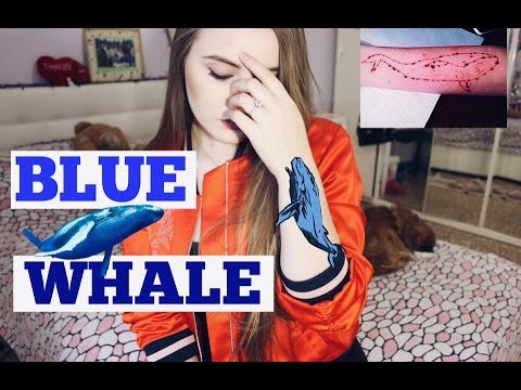 Blue Whale: il gioco macabro in salsa sciacchitana. Segnalazione ai Carabinieri