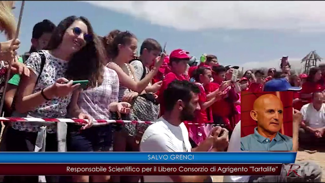 Liberata una tartaruga nel mare di San Leone, concluso oggi programma di educazione ambientale "Scopritarta"