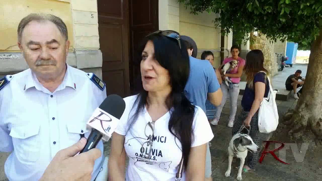 Il Comune apre a Menfi un ambulatorio veterinario ed è subito corsa alle microcippature dei cani