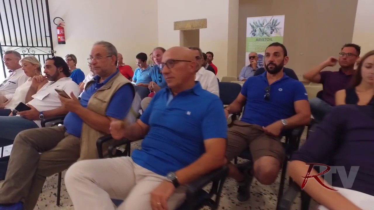Valorizzazione olio extravergine d'oliva: a Sciacca Infoday "Progetto Aristoil"