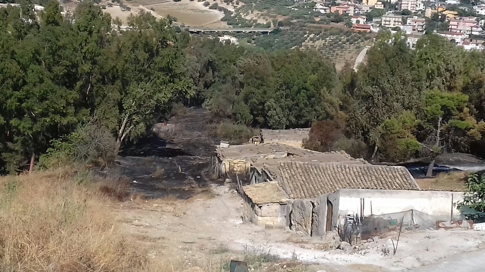 Carbonizzati ettari di bosco, vigili del fuoco ancora a lavoro, spento l'incendio a Pierderici