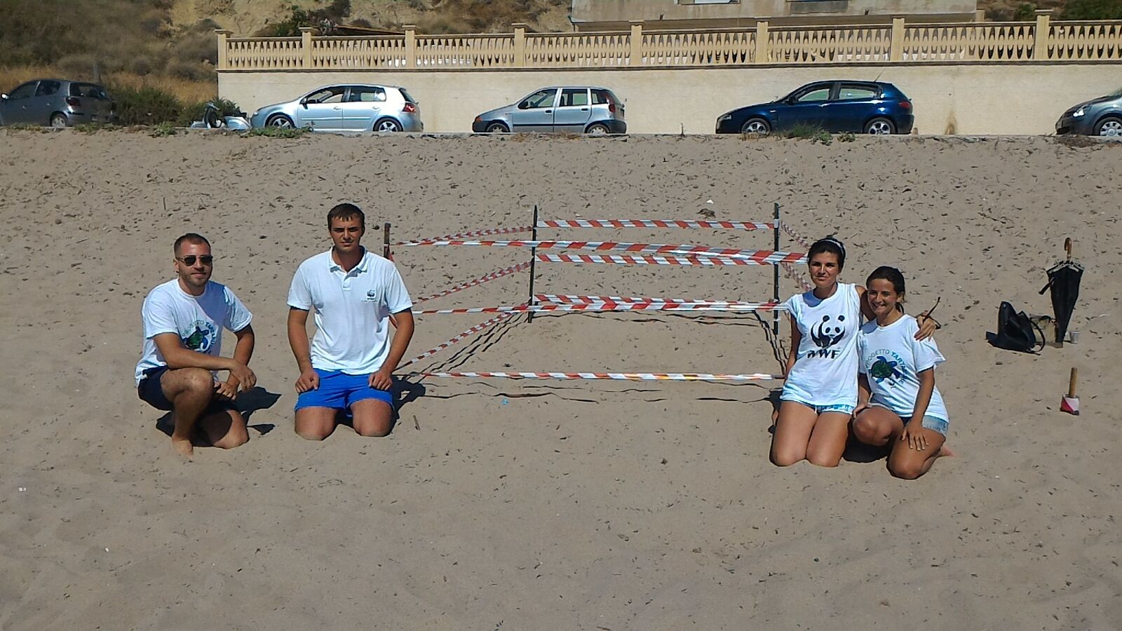La tartaruga caretta Caretta arriva a Sciacca, nido sulla spiaggia di San Marco