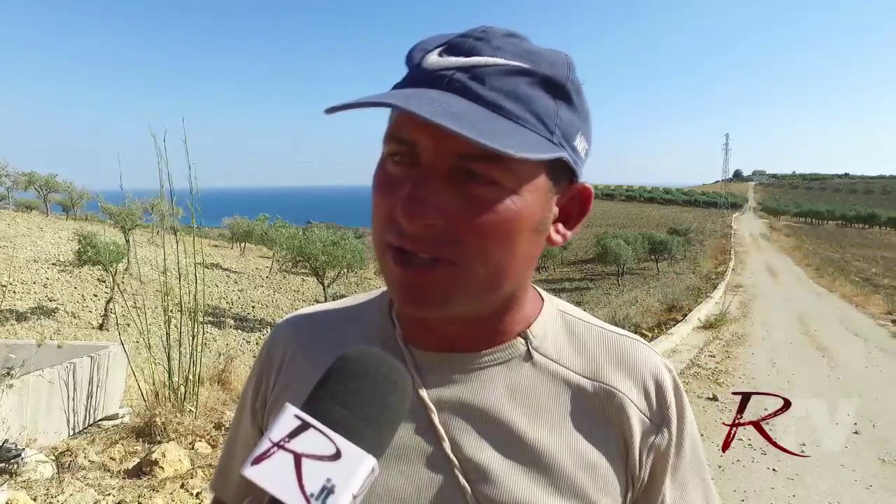 Una vita da pastore guardando Sciacca dai pascoli di San Giorgio