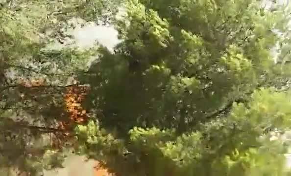 Brucia San Calogero, fiamme nell'area demaniale già colpita in precedenza (Guarda i filmati)
