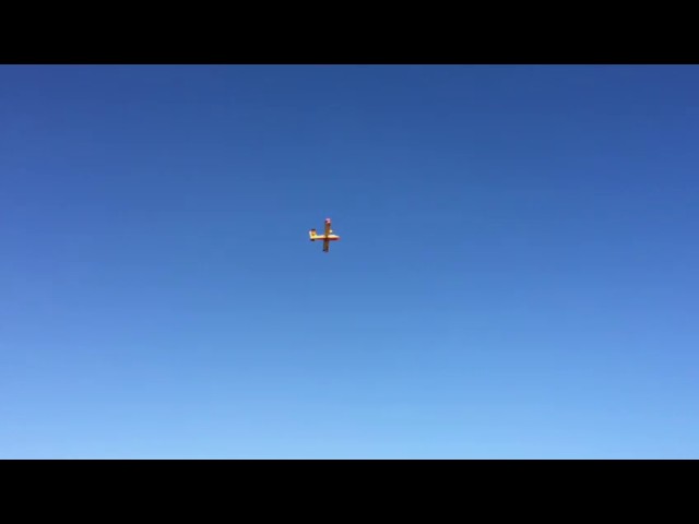 Arriva il Canadair, incendio domato a San Calogero. Riparte la conta dei danni ambientali
