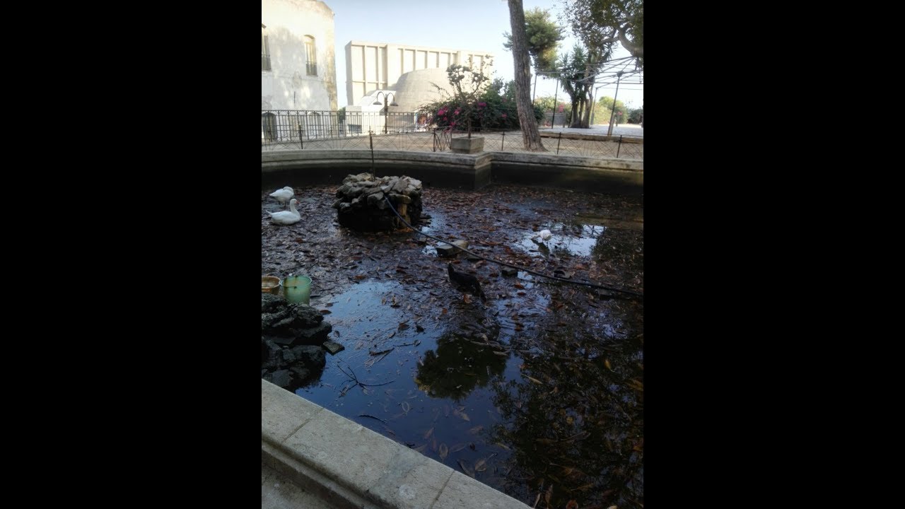 La storica vasca delle oche e dei cigni alla villa comunale di Sciacca ridotta ad una putrida pozzanghera