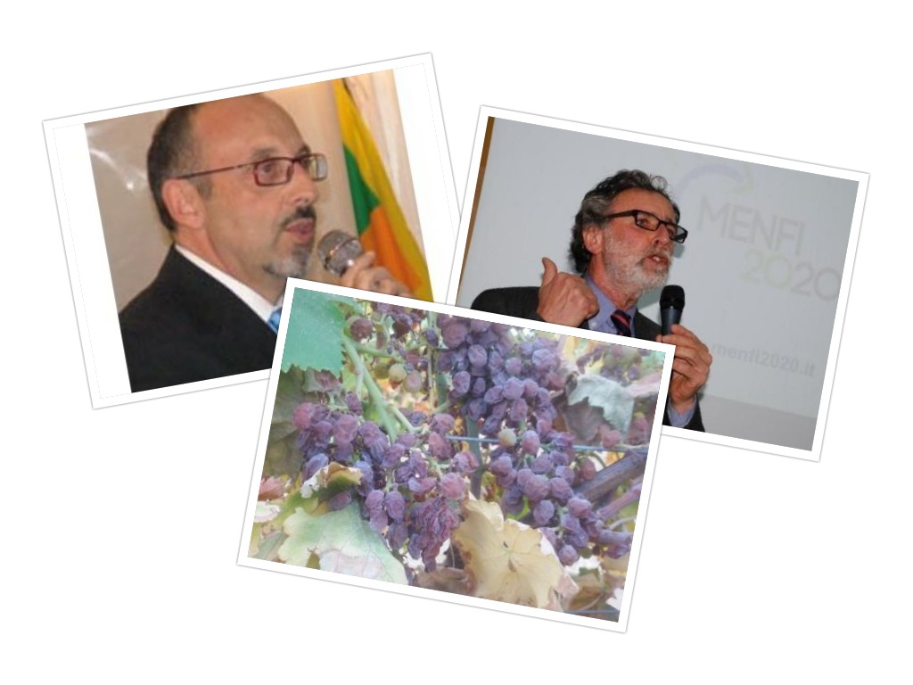 Sindaci Menfi e Santa Margherita: "Conseguenze nefaste sull'agricoltura per la siccità, lo Stato ci aiuti"