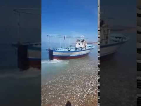 Cinquanta migranti in fuga nelle campagne di Ribera