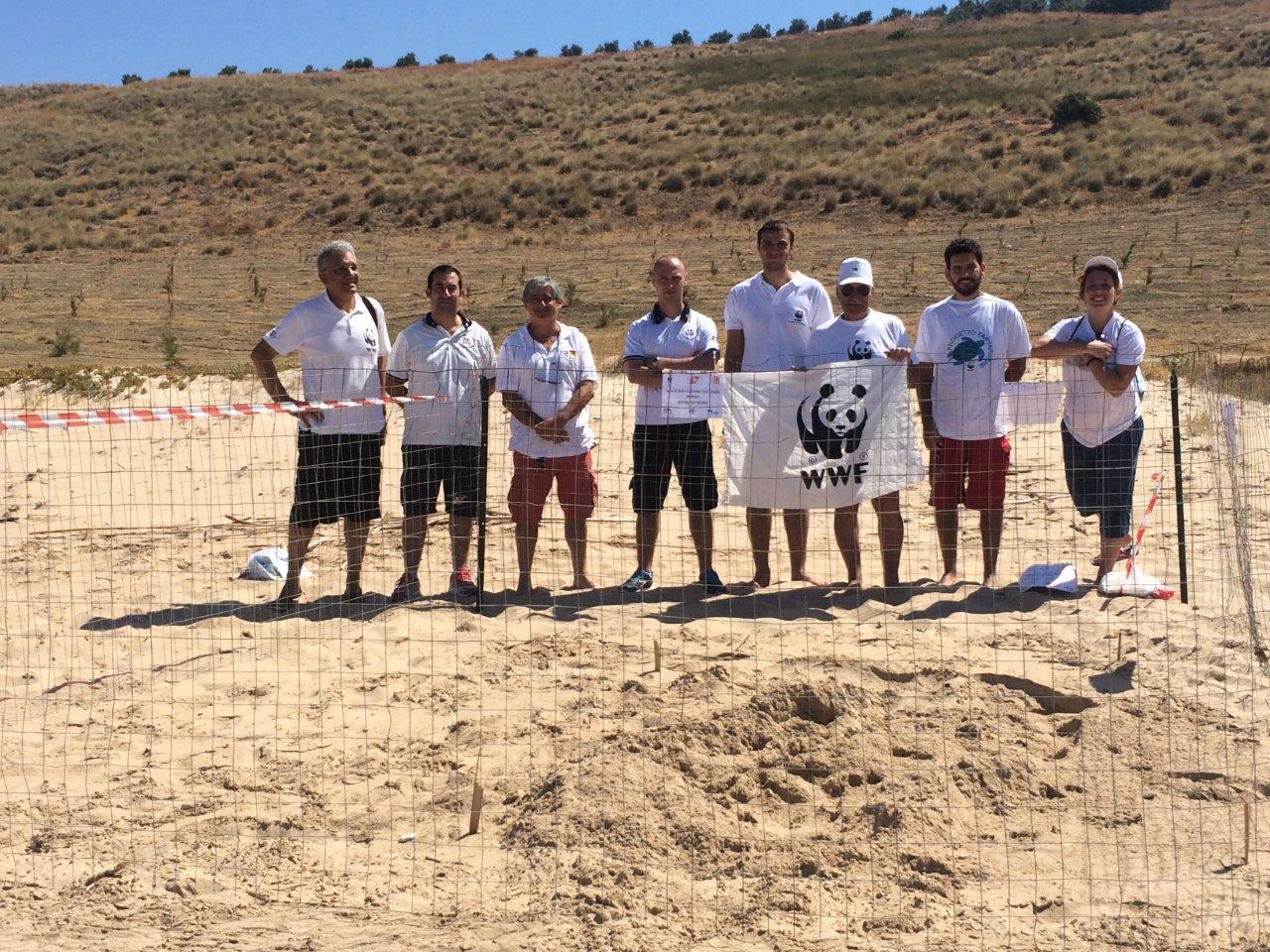 Dal nido di Lido Fiori, a Menfi, arrivano 62  tartarughe "Caretta-Caretta"