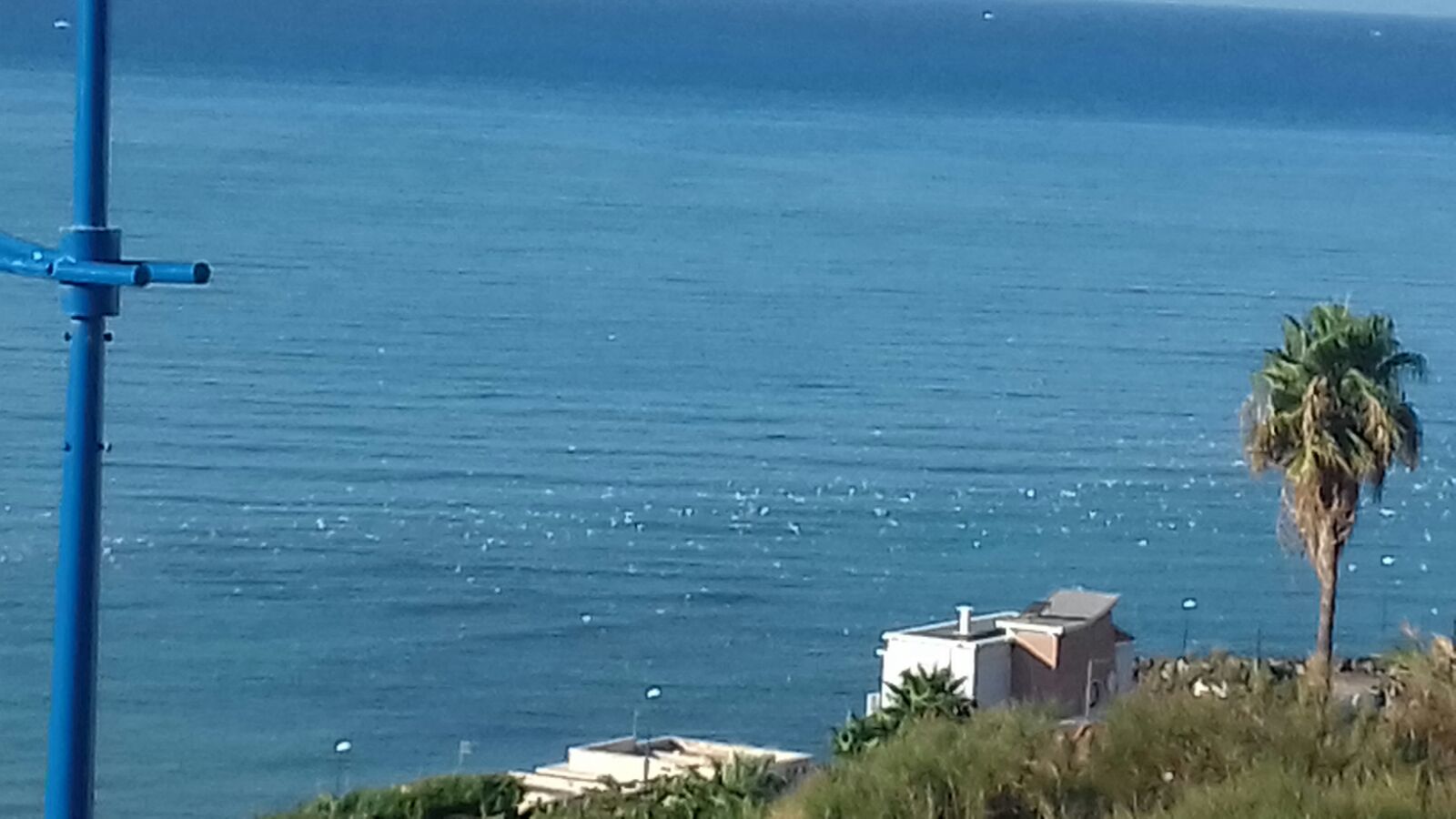 Un "mare" di polistirolo al largo della costa di Sciacca