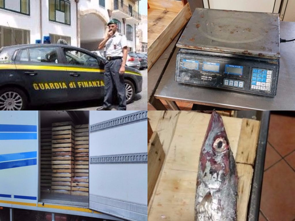 Maxi sequestro di pesce avariato, Gdf scopre stabilimento abusivo a Menfi