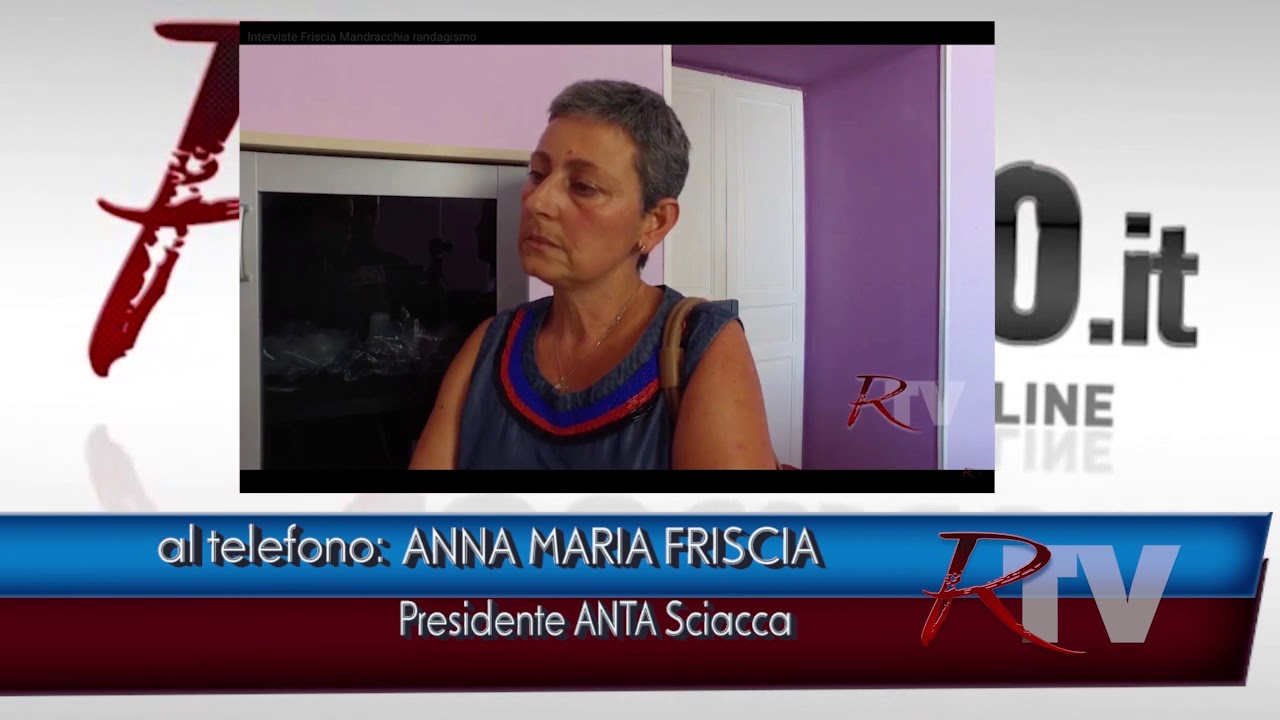 Emergenza randagismo, per l'Anta si sta pagando il prezzo di anni di politiche sbagliate