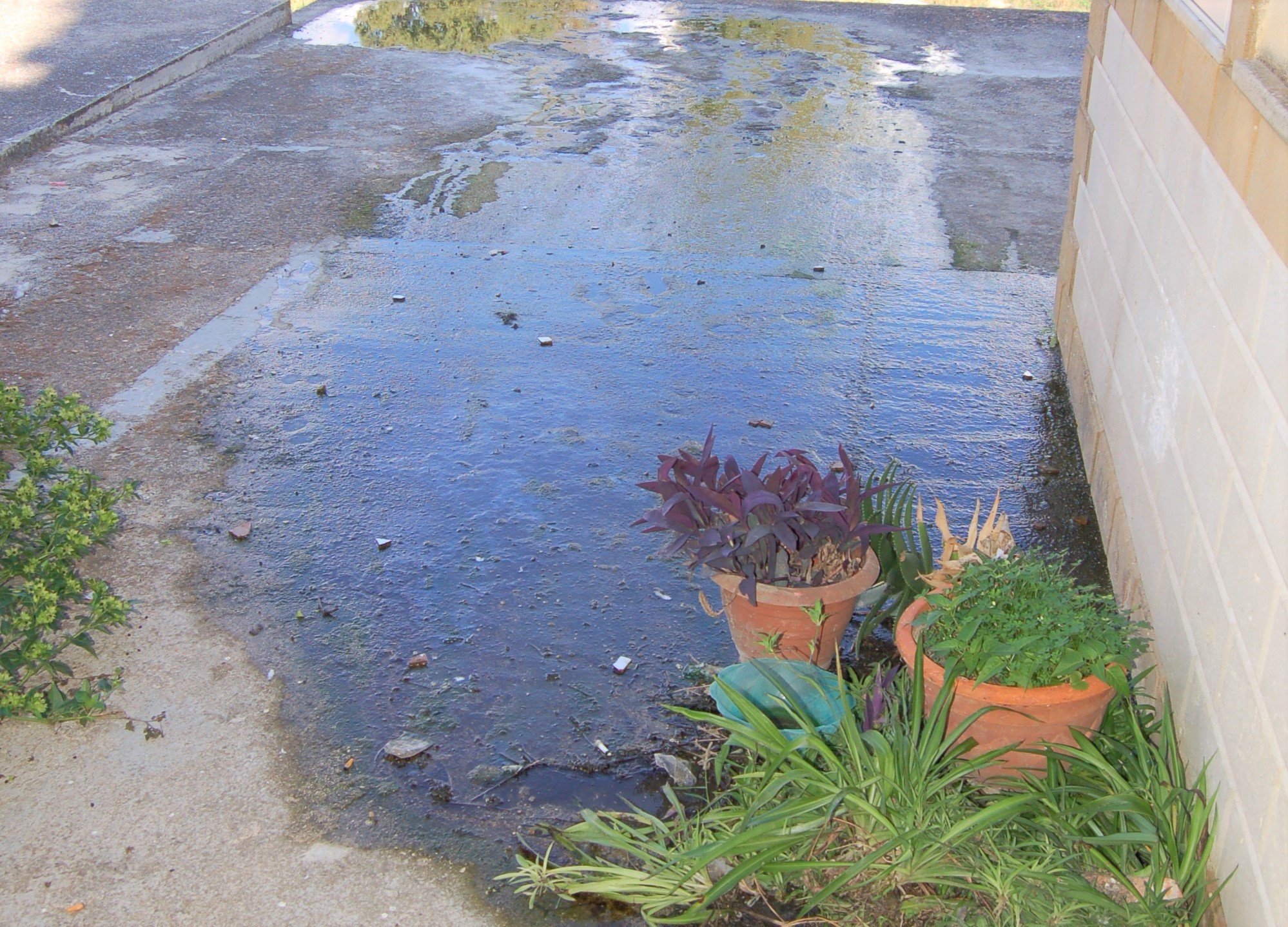 Liquami in strada a Ribera, Girgenti Acque: "Colpa della fogna comunale"