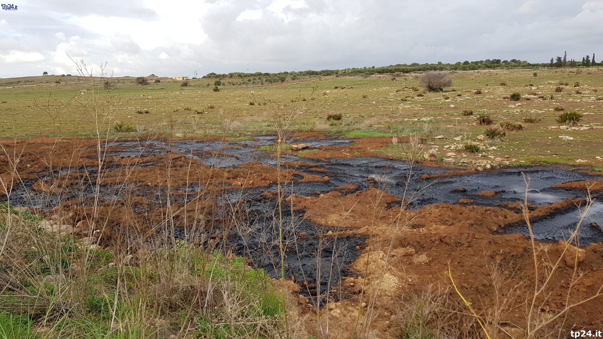 Inquinamento a Campobello di Mazara: scarti di lavorazione delle olive finiscono in campagna su un SIC