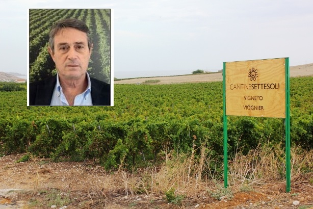 E' Giuseppe Bursi il nuovo presidente di Cantine Settesoli