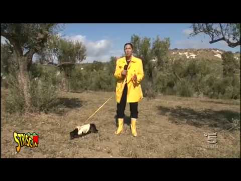 Anche Striscia La Notizia sulla vicenda inquinamento da molitura dei fiumi agrigentini, l'impegno del sindaco Pace