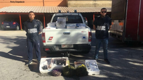 Prodotti ittici senza tracciabilità: maxisequestro tra Sciacca, Licata e Lampedusa
