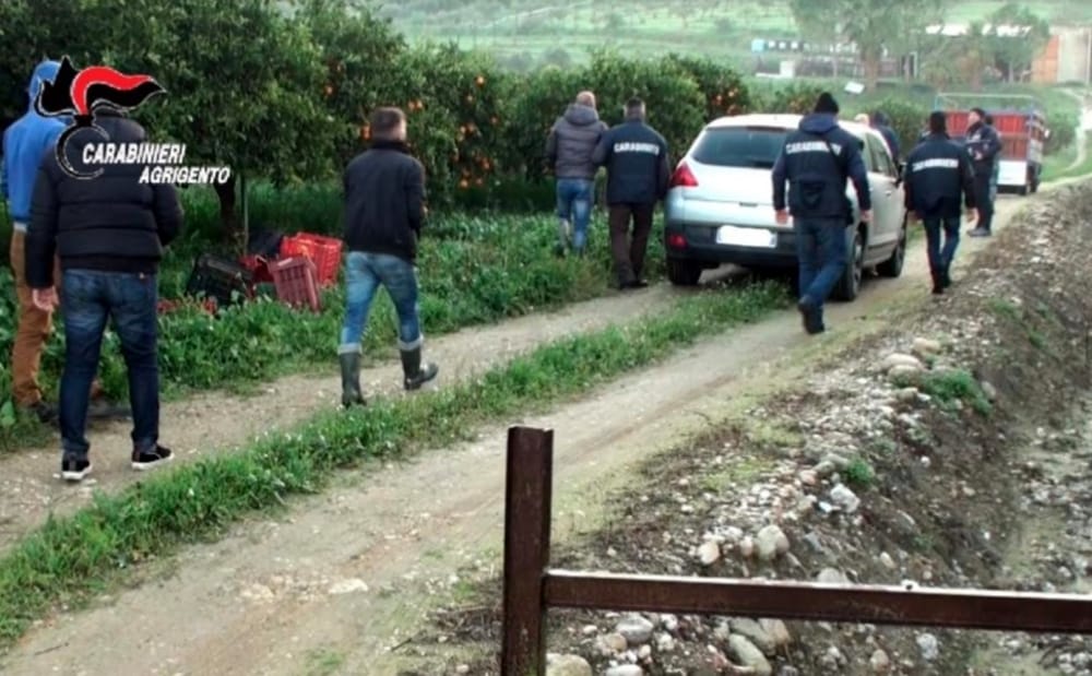 Caporalato a Ribera: denunce e multe, trovati otto lavoratori in nero