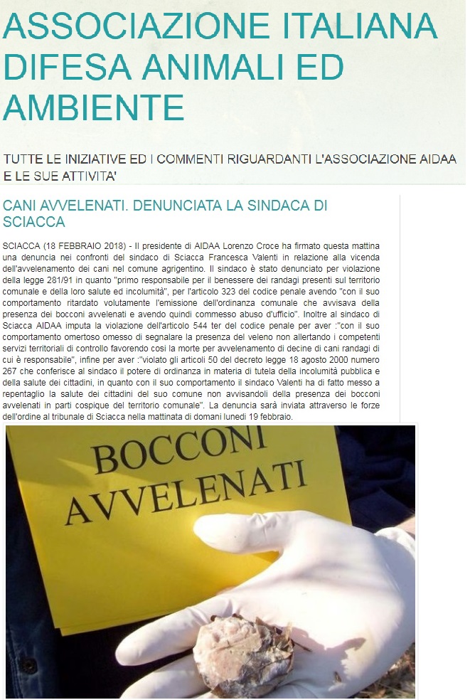 Associazione animalista denuncia il sindaco: "È responsabile del benessere dei randagi"