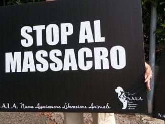Manifestazione animalista a Sciacca, domenica tutti in piazza