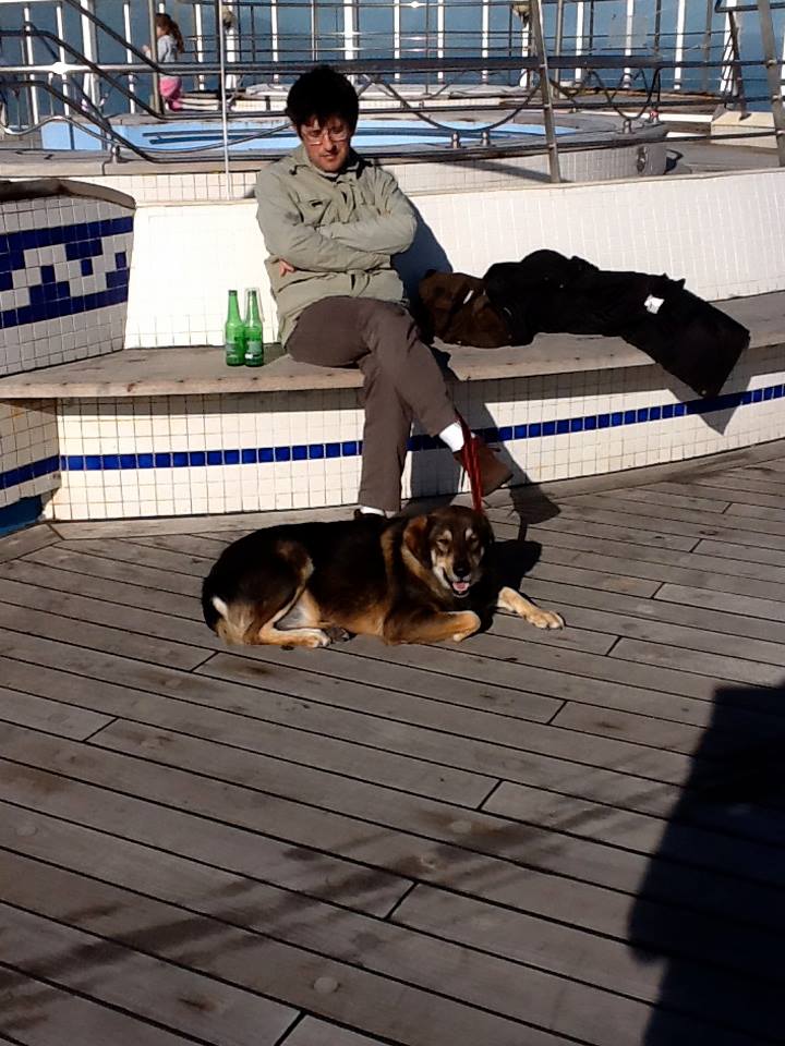 Commenti. Alberto Montalbano: "La Sciacca civile isoli la Sciacca degli avvelenatori di cani"