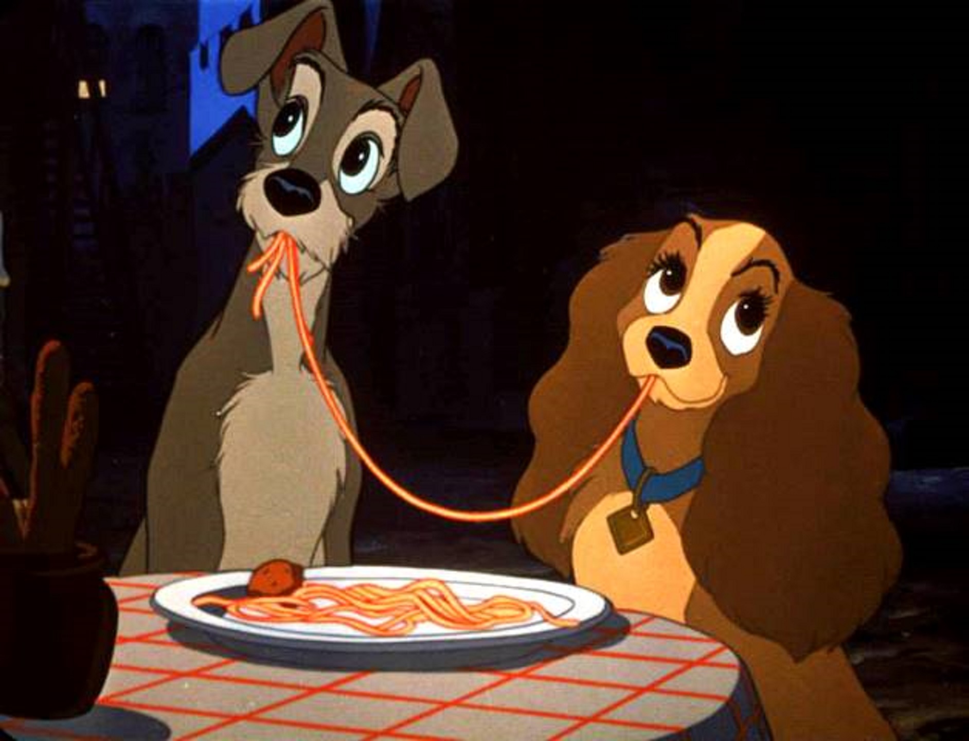 A Muciare c'era cibo ogni giorno e senza fatica. Ecco perché tutti questi cani in un luogo tutt'altro che accogliente