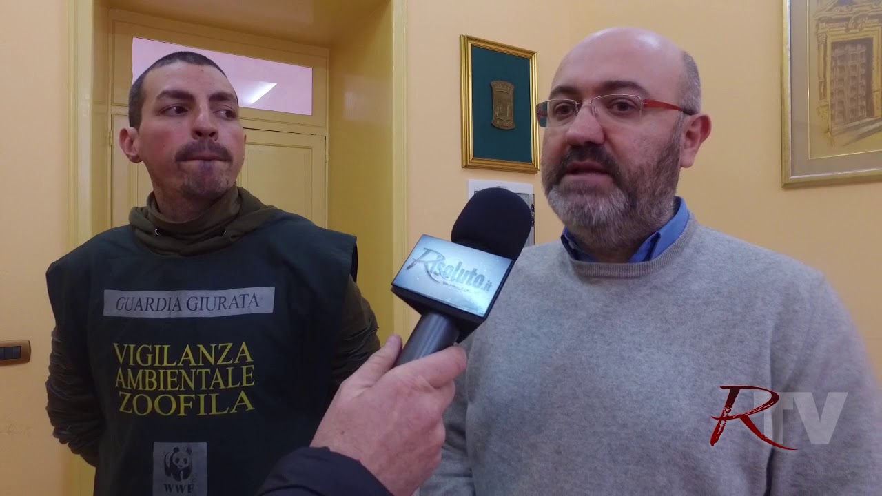 WWF Sicilia, Bonfanti: "Trasformare Sciacca da luogo dell'emergenza a posto virtuoso della lotta al randagismo"