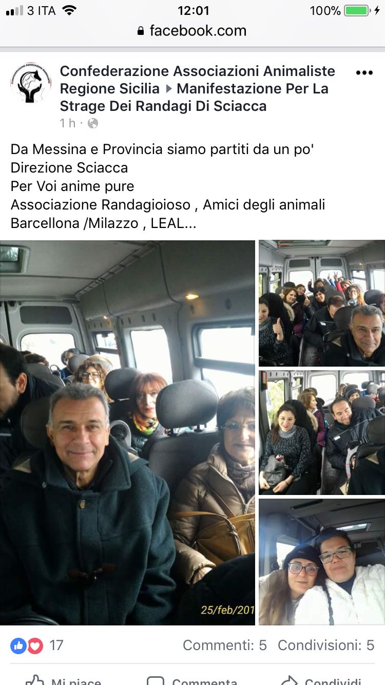 Gli animalisti su Facebook: "Sciacca, stiamo arrivando". Dalle 15 collegamenti in diretta sulla pagina FB di Risoluto.it